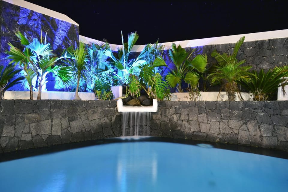 Night, Garden, Swimming pool