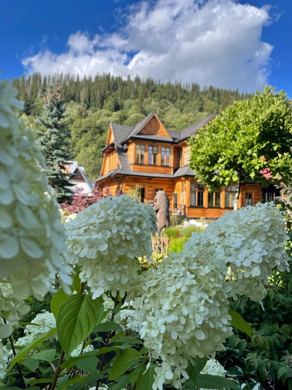 Property building, Activities, Garden