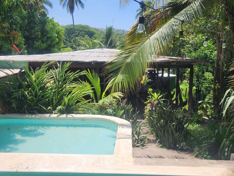 Garden view, Swimming pool