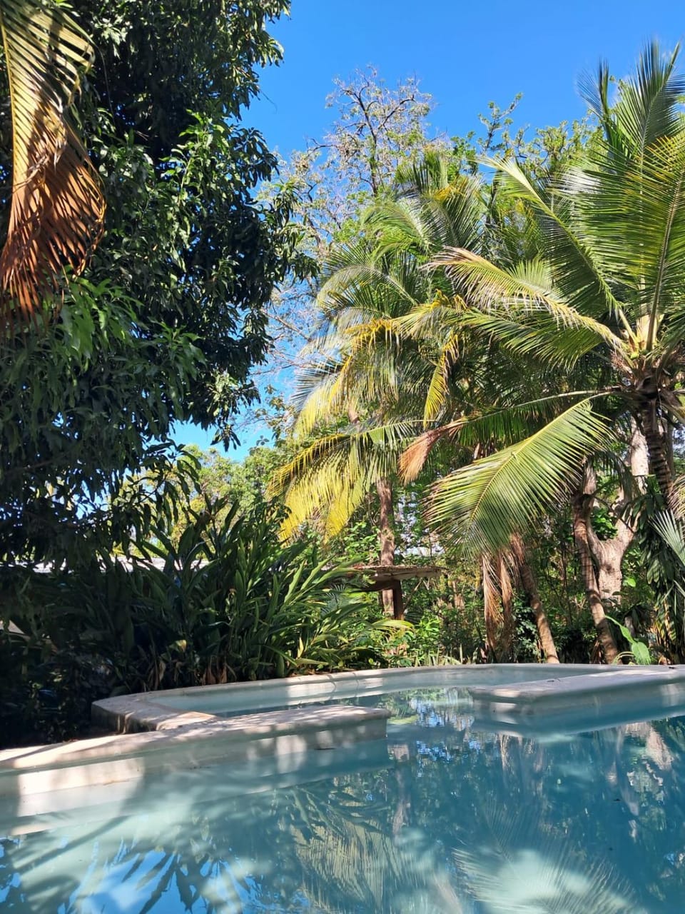 Garden, Pool view