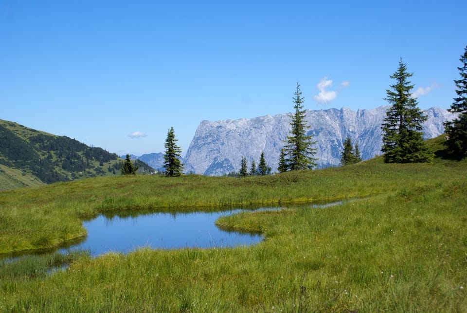 Natural landscape
