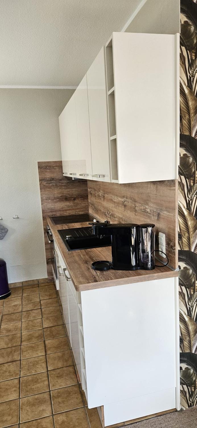 Kitchen or kitchenette, kitchen
