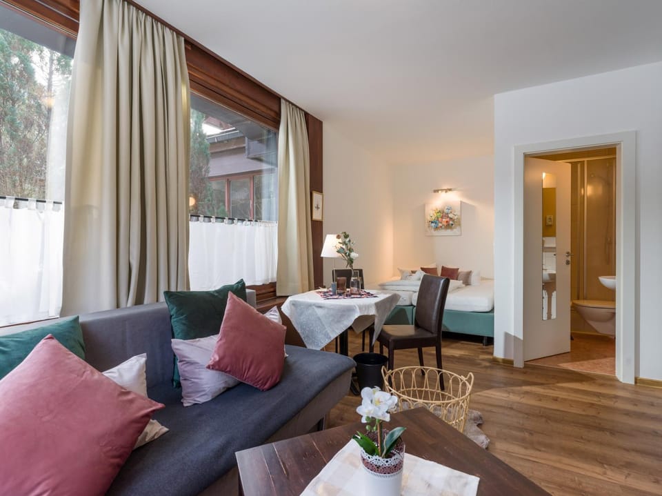 Shower, Toilet, Bed, Bathroom, TV and multimedia, Seating area, Bedroom