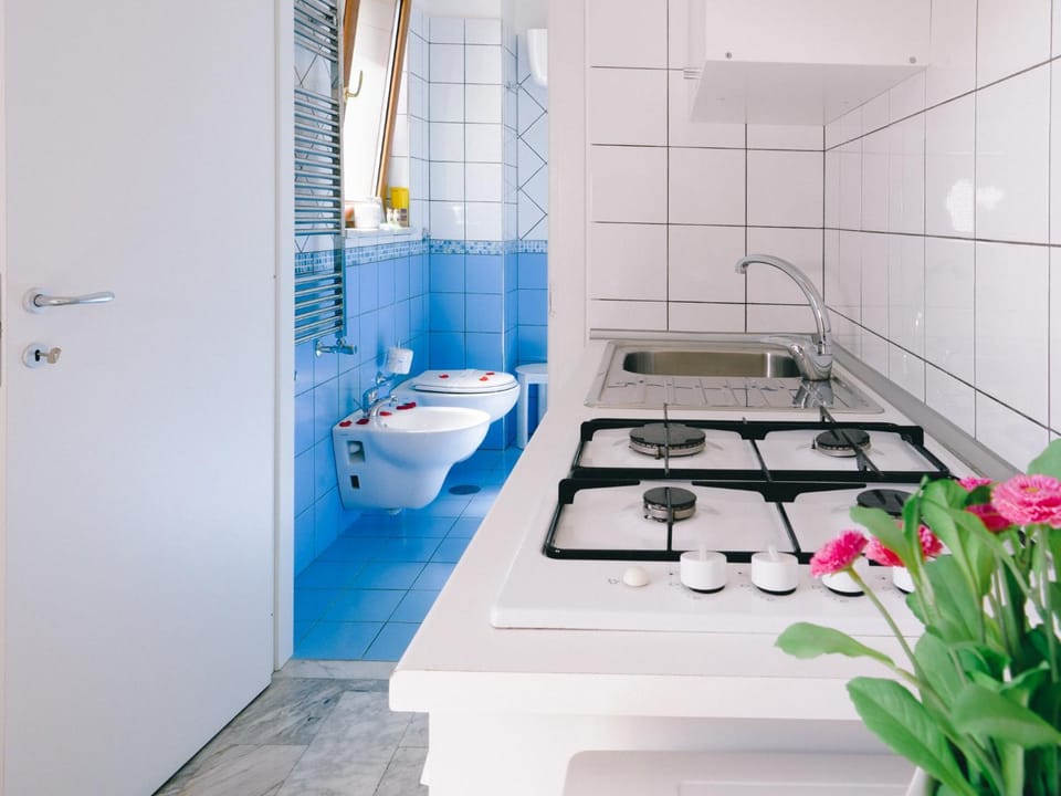 Toilet, Kitchen or kitchenette
