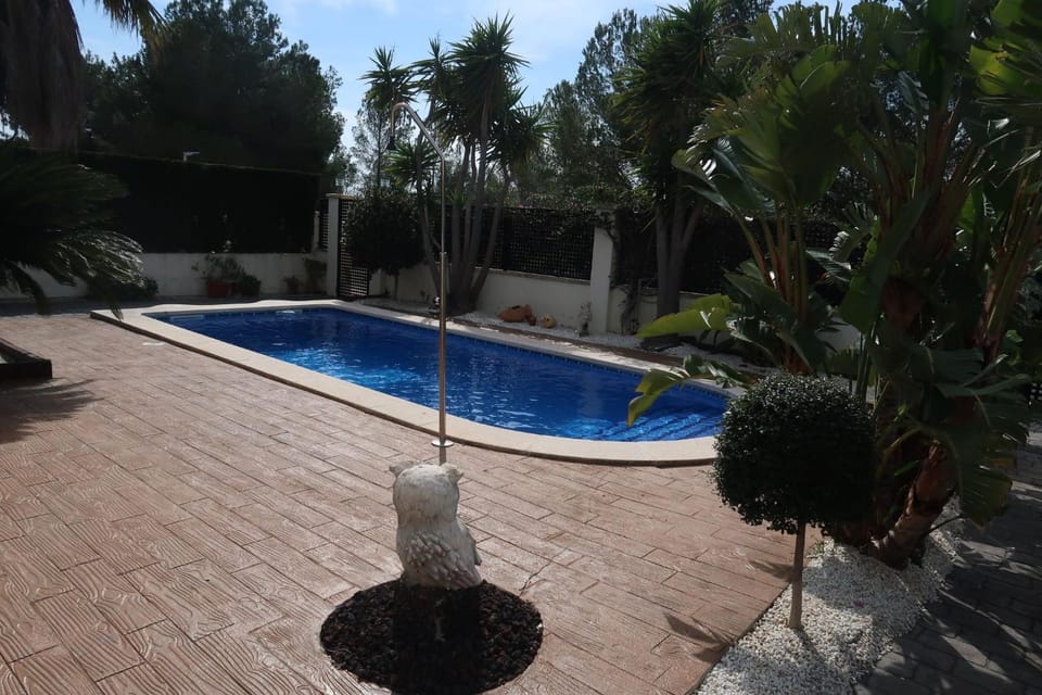 Summer, Garden, Swimming pool