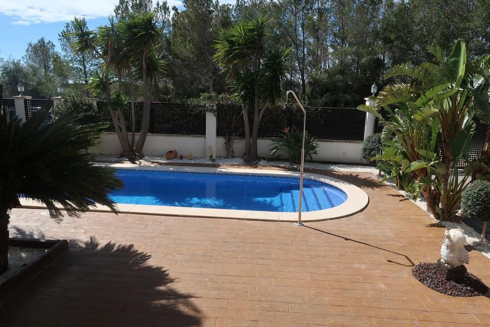 Patio, Summer, Garden, Swimming pool