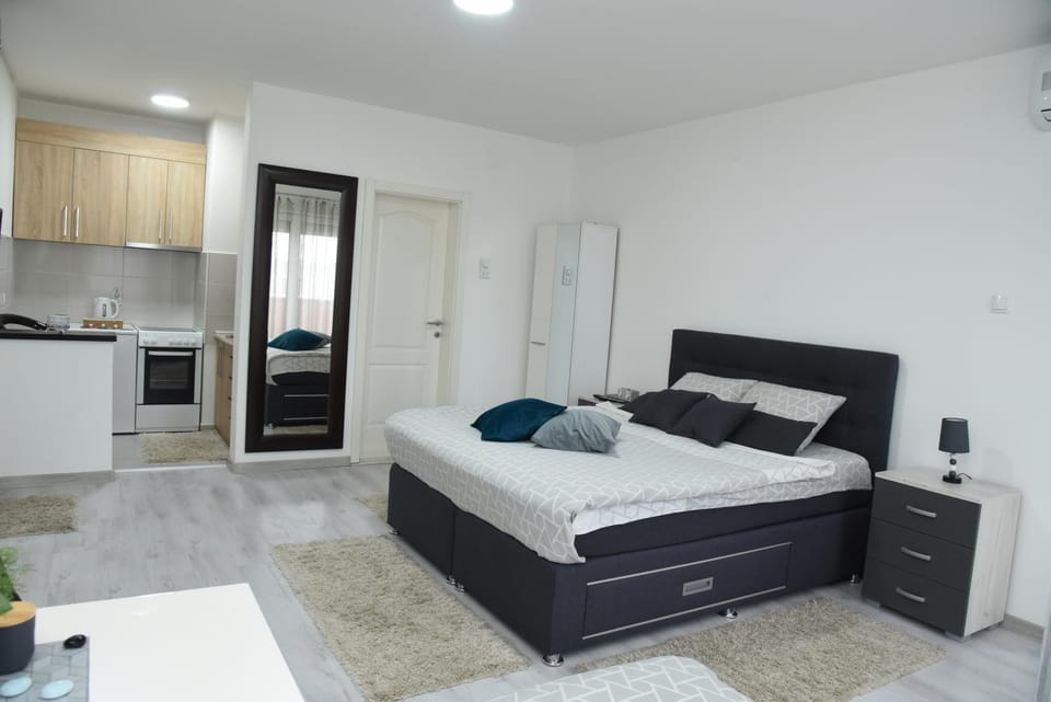 Bed, Kitchen or kitchenette, Photo of the whole room, Bedroom, oven, stove, wardrobe