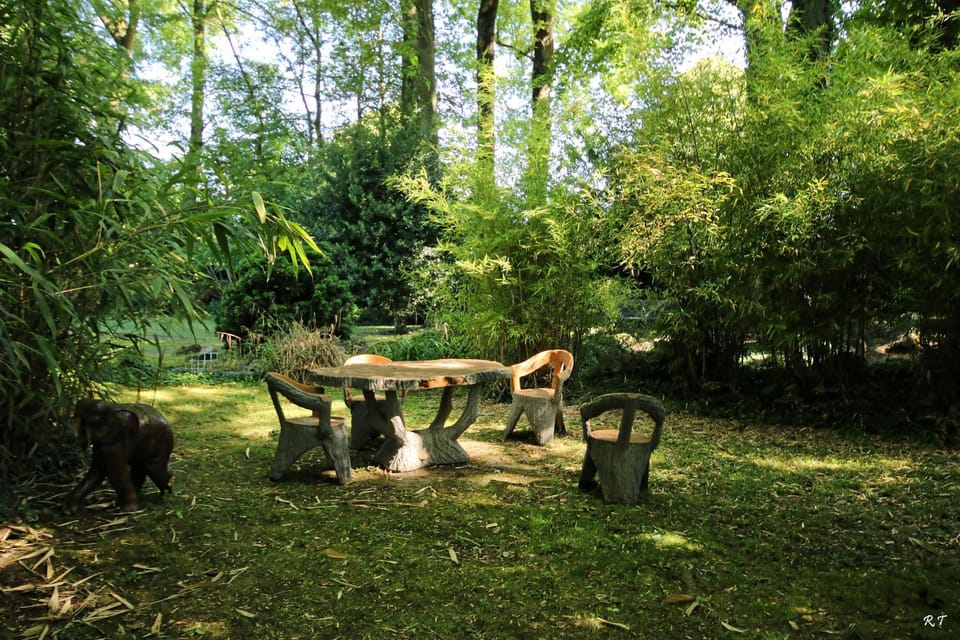 Garden, River view