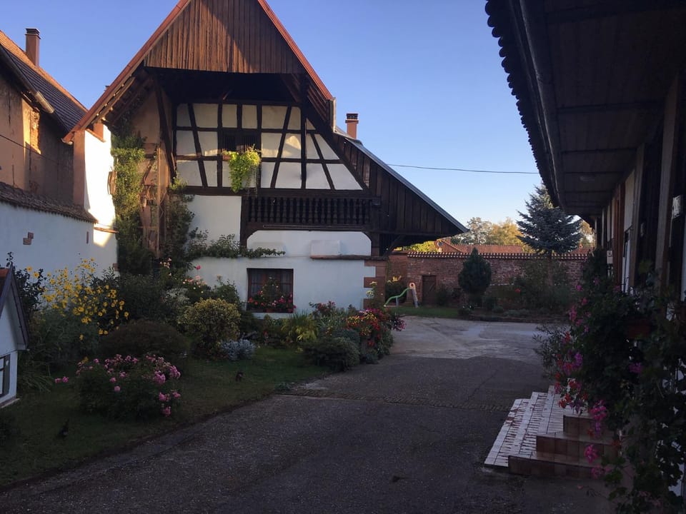 Garden, Garden view
