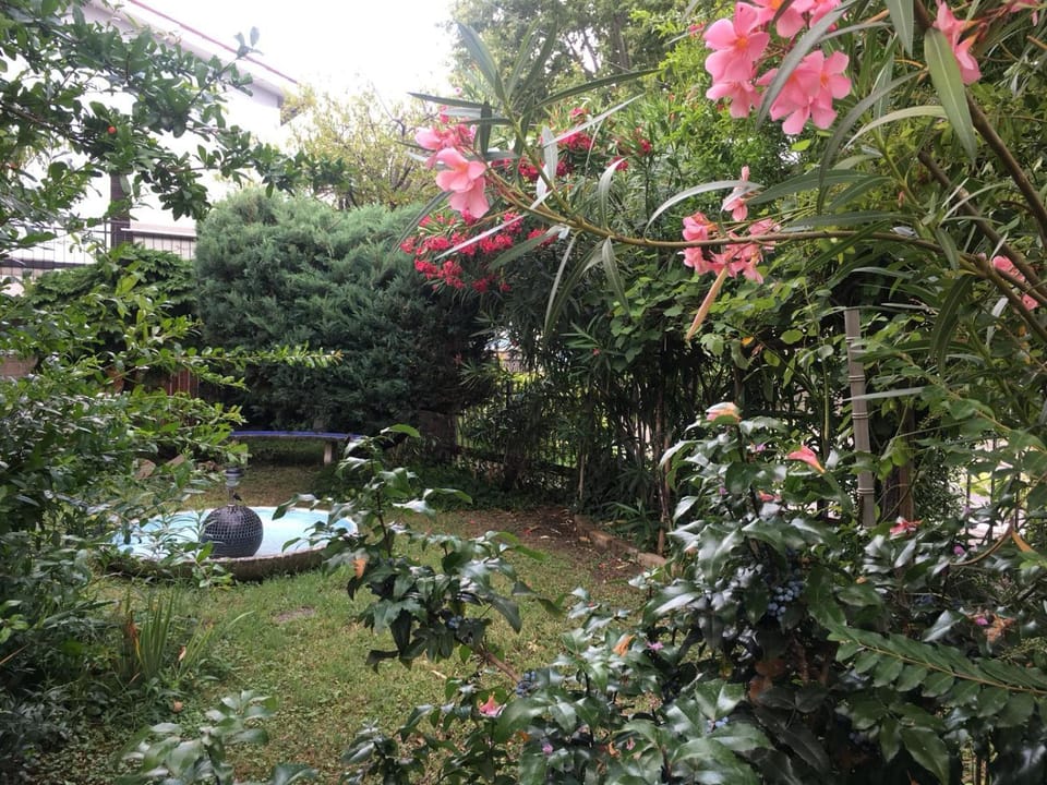 Alla Rotonda dai Santi Bed and Breakfast in Veneto