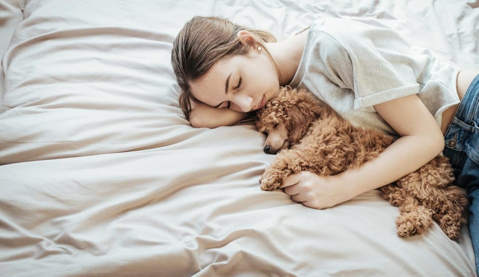 Pets