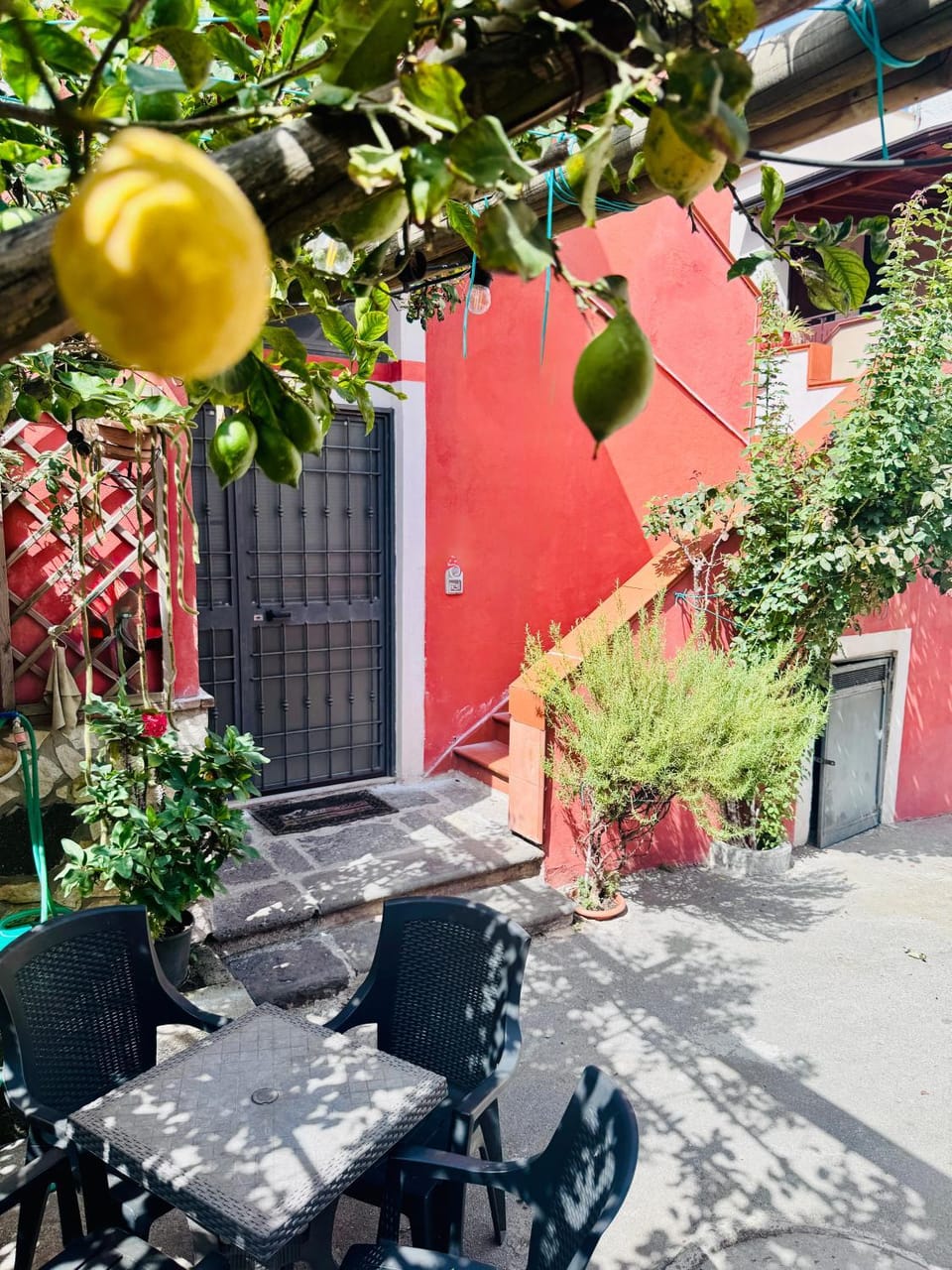 Garden view