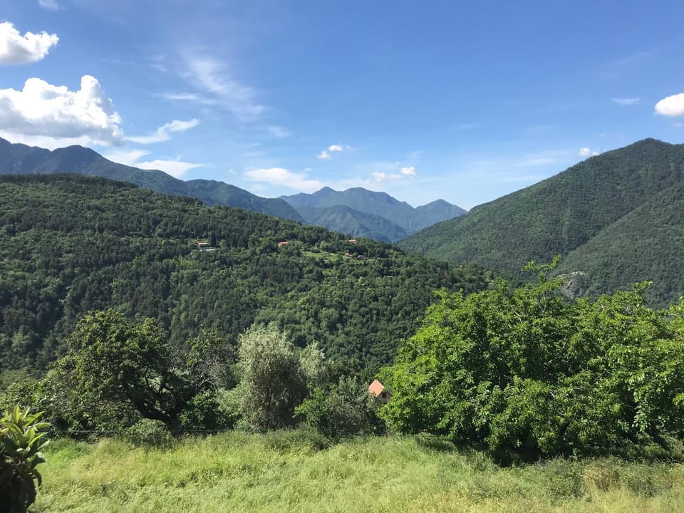Mountain view