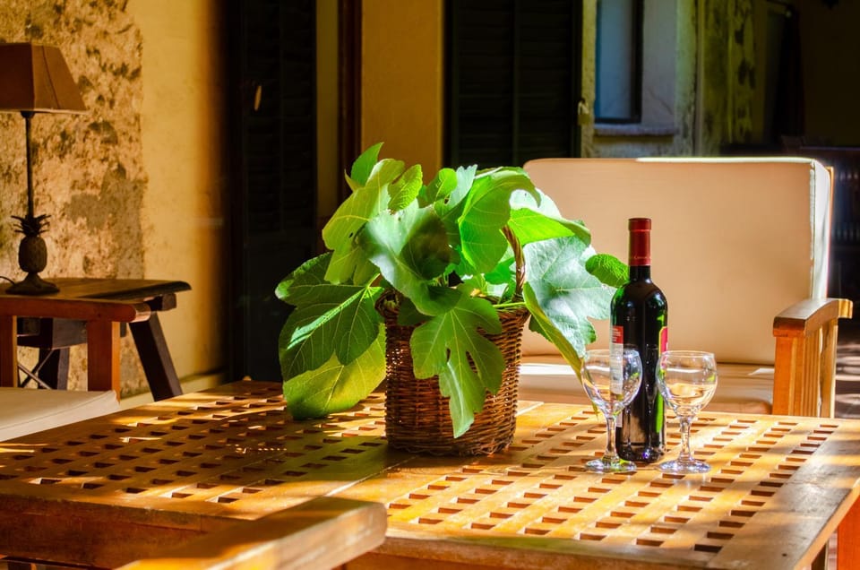 Patio, Balcony/Terrace, Seating area, Dining area, Drinks