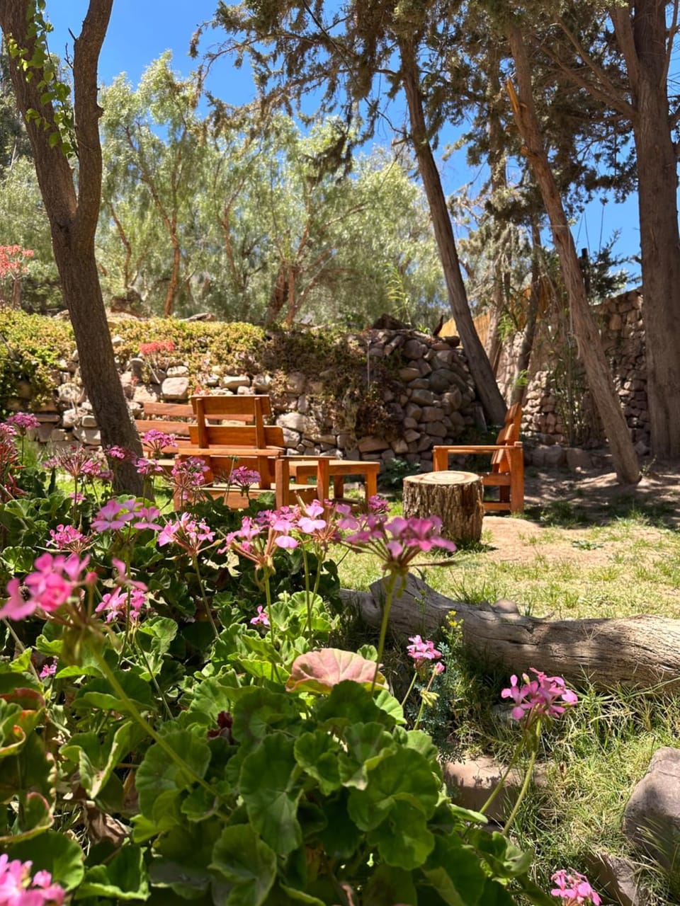 Spring, Garden view