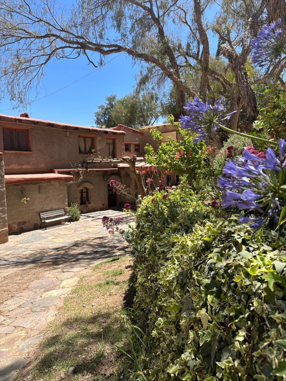 Spring, Garden, Garden view