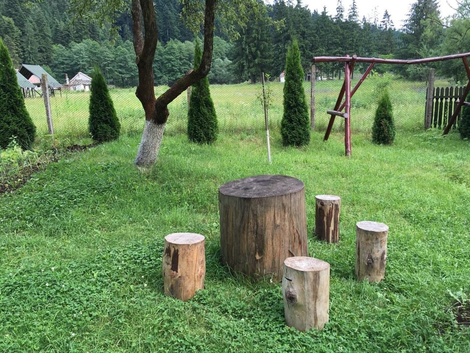 BBQ facilities, Garden, Garden view