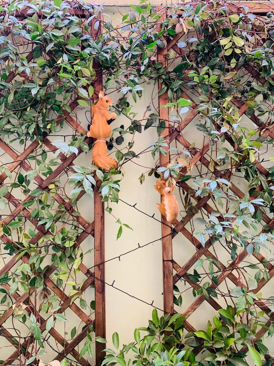 Babyface Bed and Breakfast in Rome