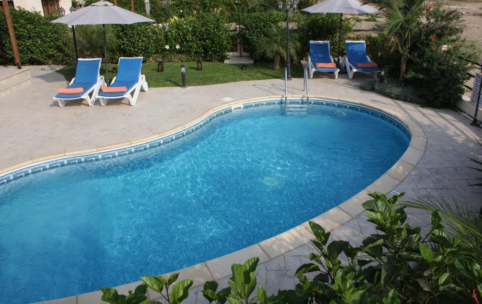 Garden, Pool view, Swimming pool