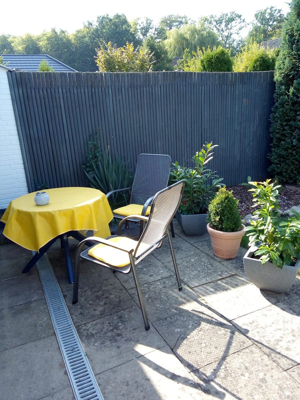 Garden view