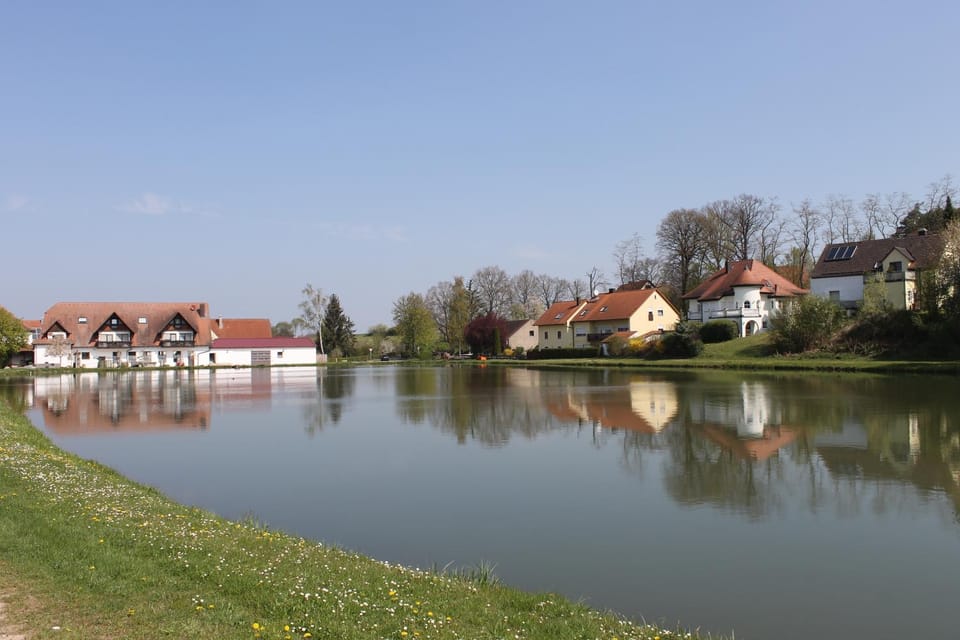 Natural landscape