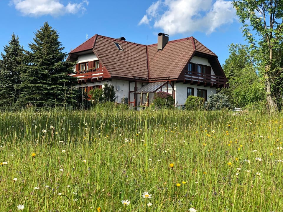 Penzion Harvanek Bed and Breakfast in Czechia