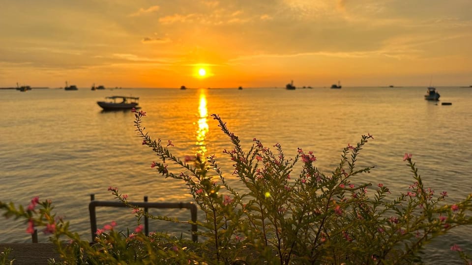 Garden, Sunset