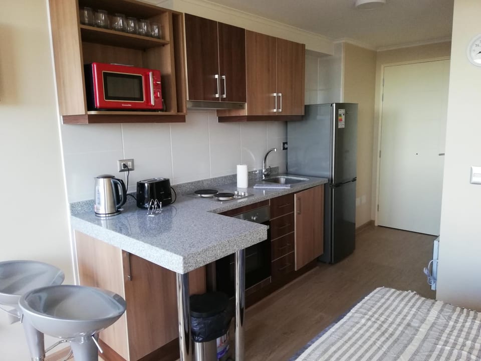 Depto Estudio 1810 Centro Blanco Apartment in Temuco