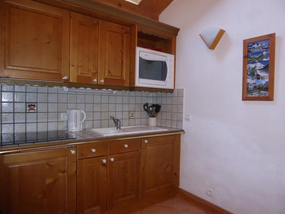 Agréable T2 Montagne Pralognan 4pers - FR-1-464-4 Apartment in Pralognan-la-Vanoise