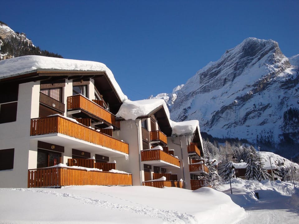 Studio sud 4 pers, animaux admis, terrasse ensoleillée - FR-1-464-50 Apartment in Pralognan-la-Vanoise