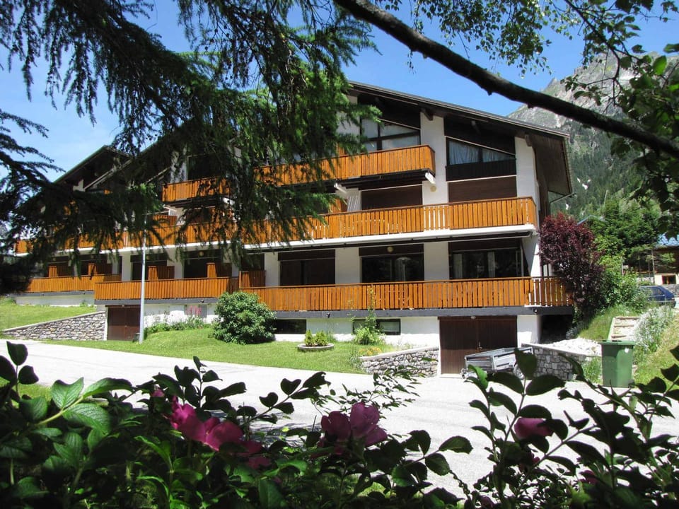 Studio sud 4 pers, animaux admis, terrasse ensoleillée - FR-1-464-50 Apartment in Pralognan-la-Vanoise