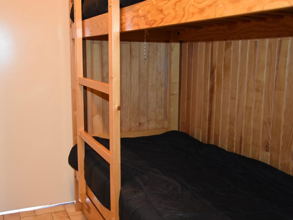 Studio 4 pers, 20m des pistes, calme été, proche centre - FR-1-464-101 Apartment in Pralognan-la-Vanoise