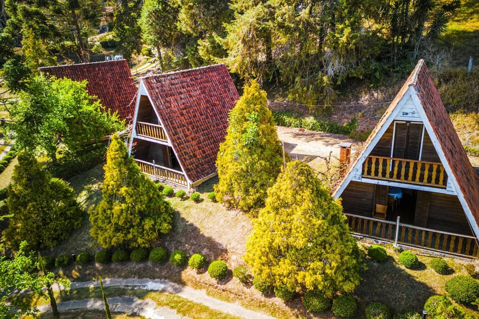 Property building, Bird's eye view, Garden, Garden view