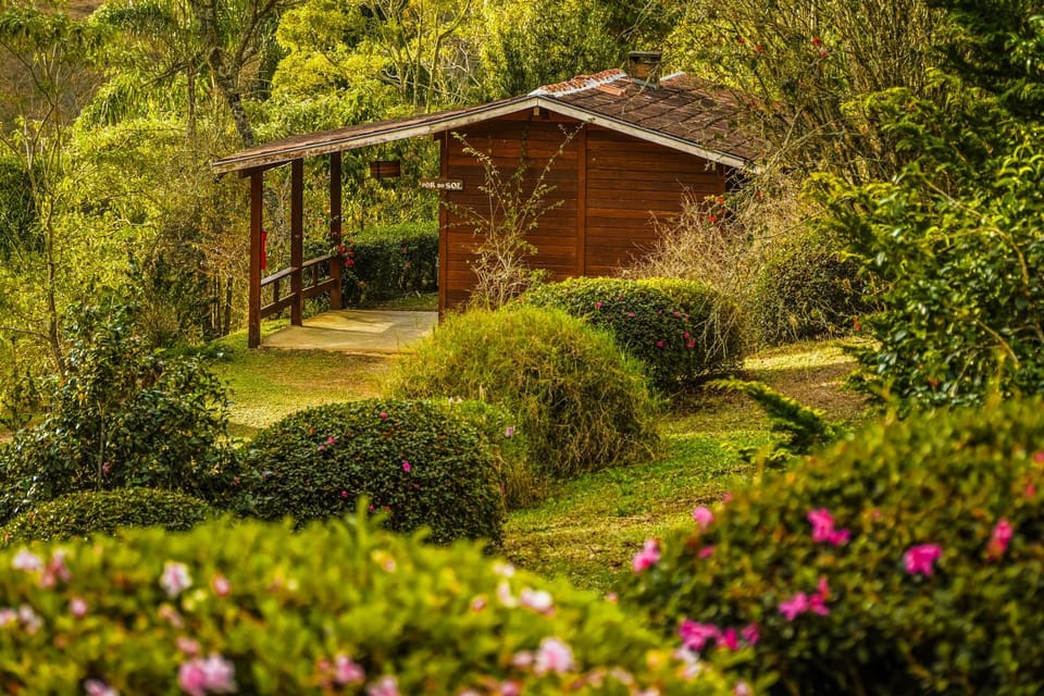 Property building, Garden, Garden view
