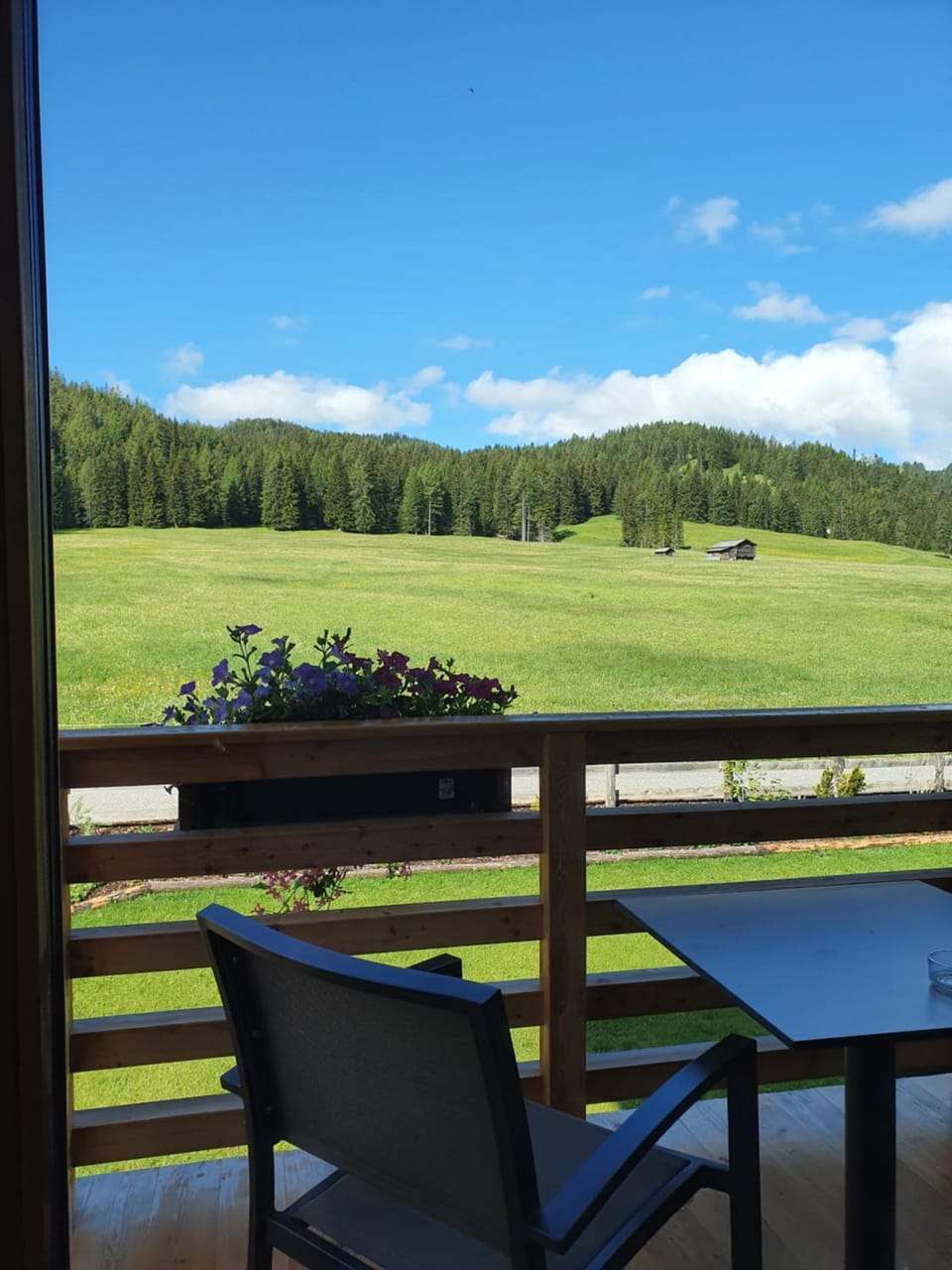 Les Pizades Apartment in Trentino-South Tyrol