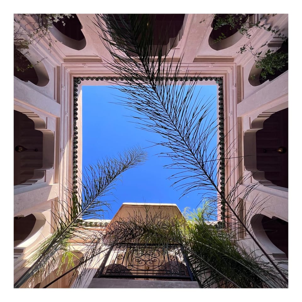 Day, Garden