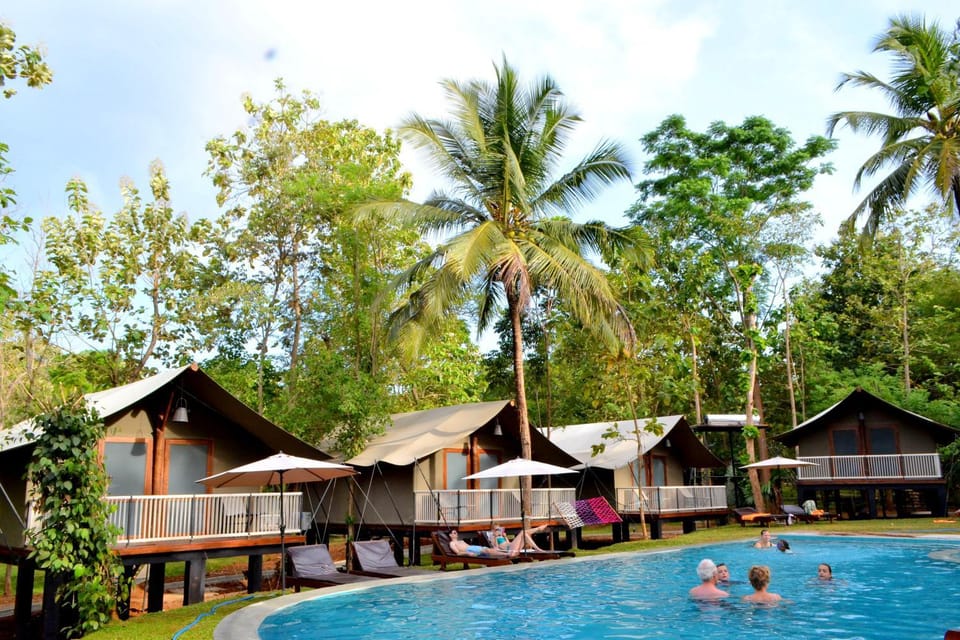 Property building, Patio, Garden, Library, Pool view, River view, Swimming pool, Swimming pool