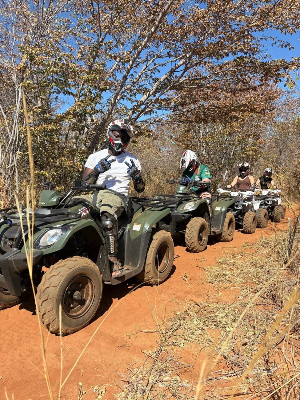 Natural landscape, Activities, group of guests