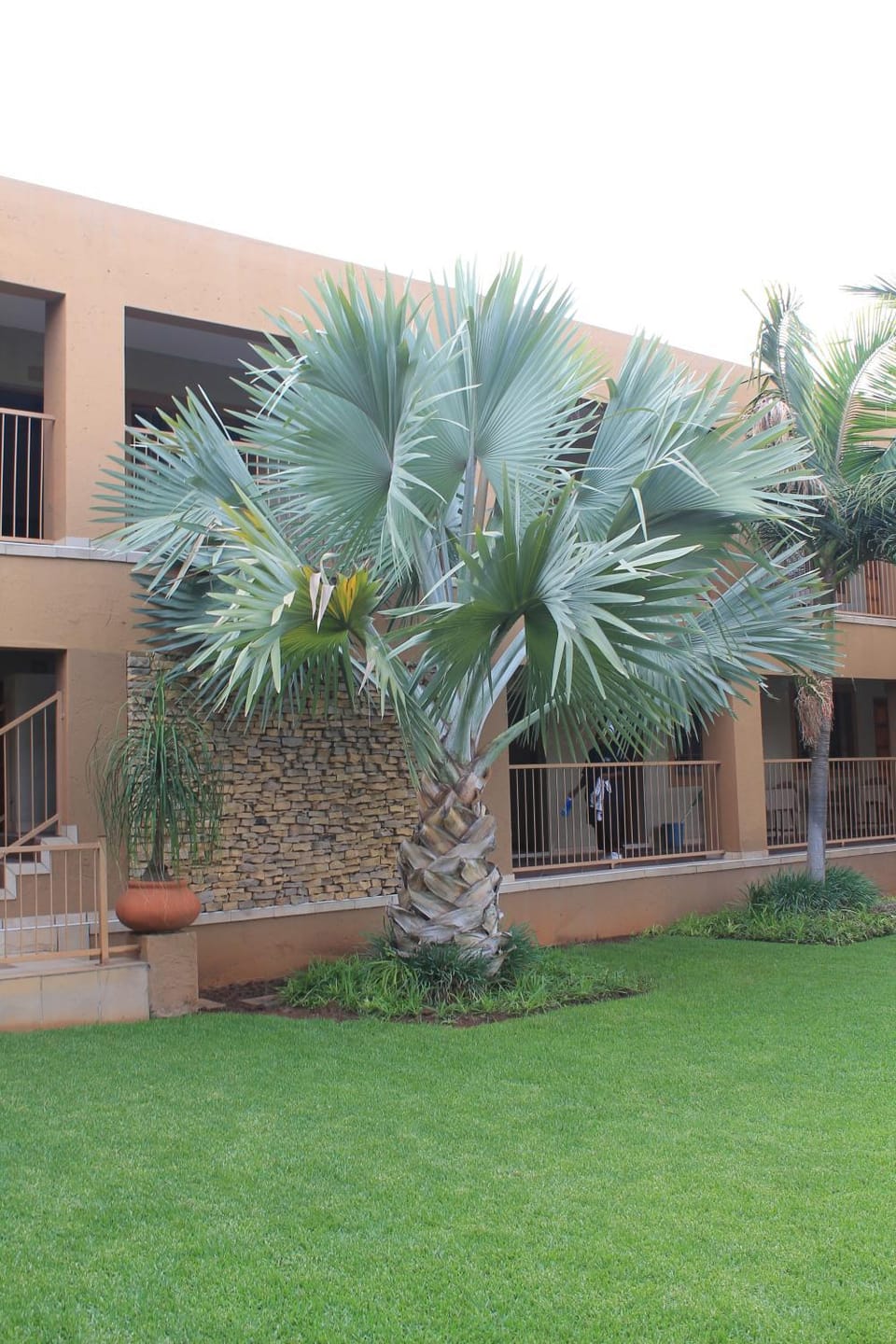 Property building, Garden