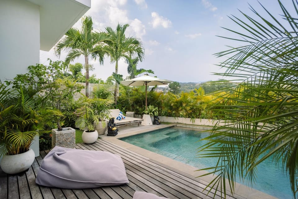 Natural landscape, Garden, Pool view, Swimming pool, sunbed
