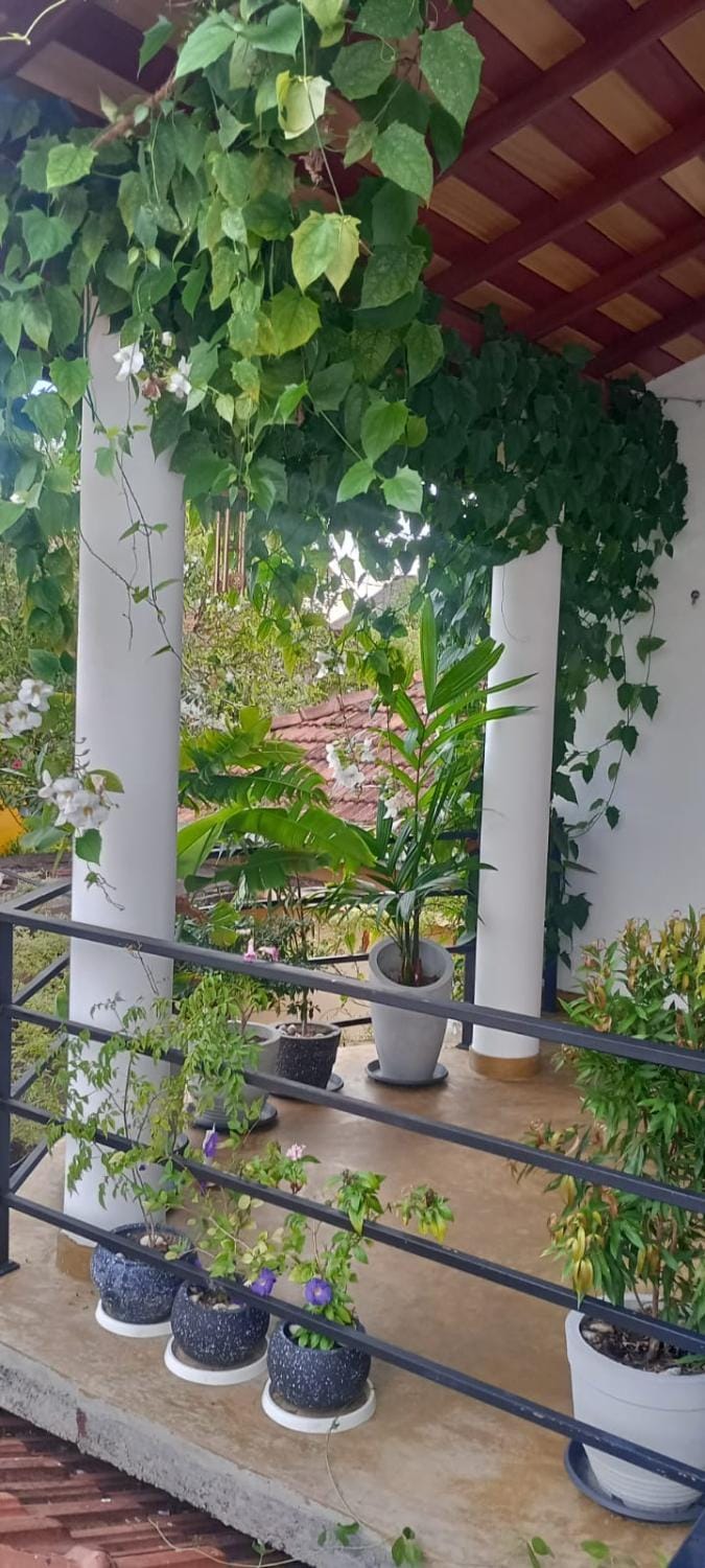 Patio, Balcony/Terrace