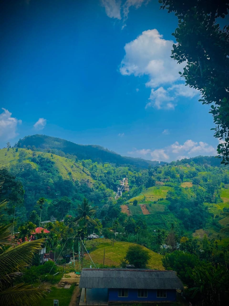 Mountain view