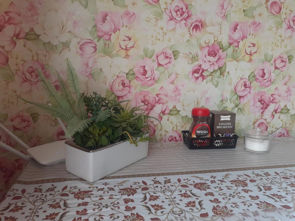 Center warm calm private parking all amenities good WiFi Apartment in Latvia