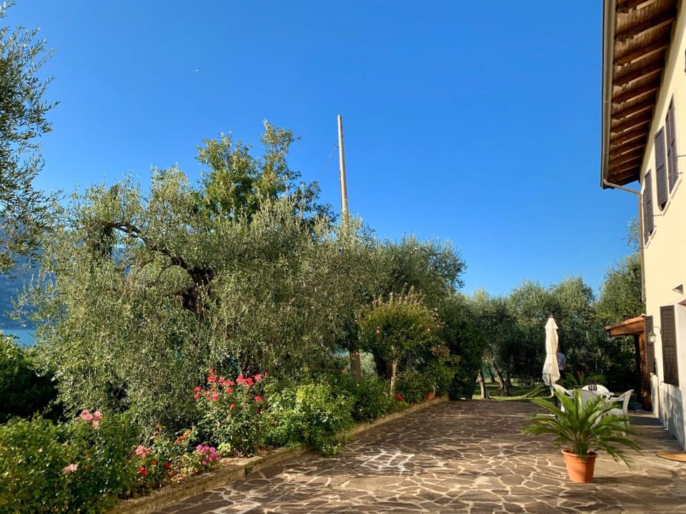 Garden, Garden view
