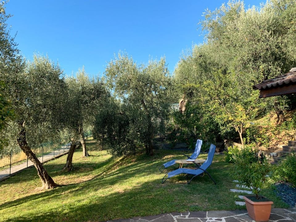 Garden, Garden view