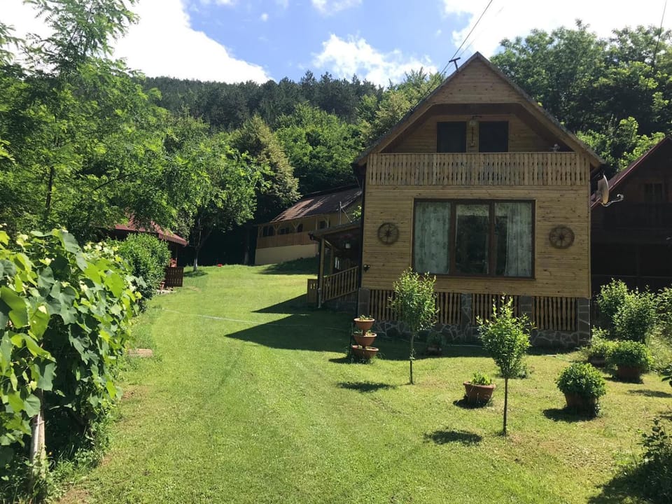 Casa de Vacanta Geoagiu de Sus Nature lodge in Romania