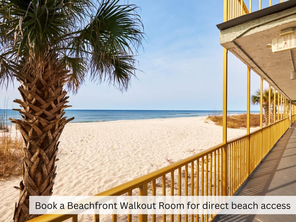 Natural landscape, View (from property/room), View (from property/room), Beach, Sea view