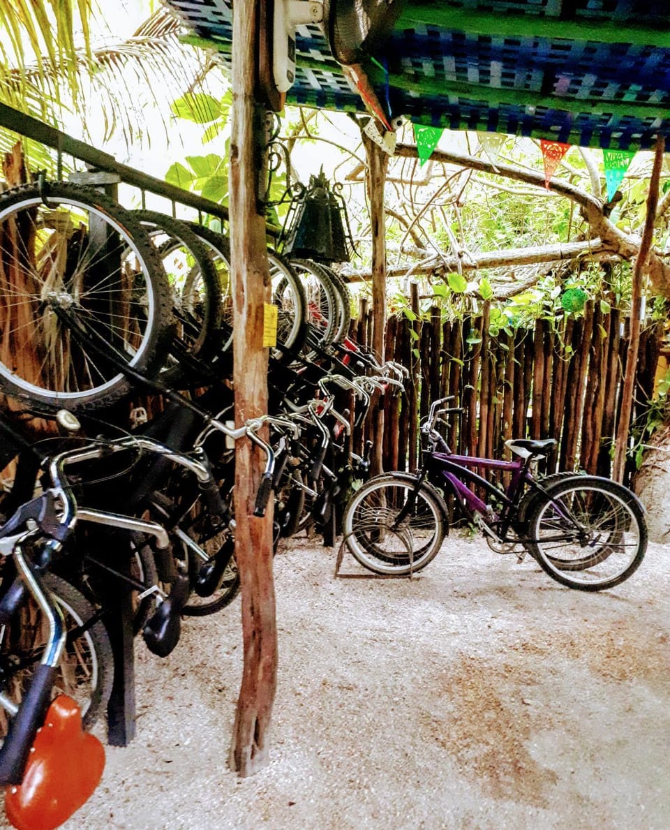 Activities, Cycling