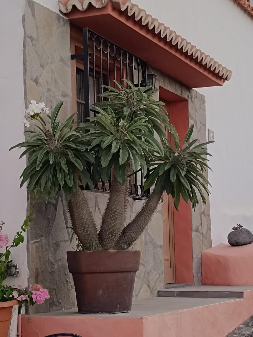 Casa Acosta House in La Palma