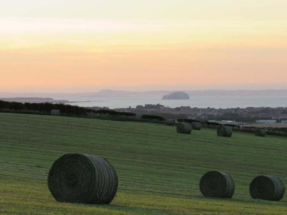 Golden Oak Chalet Apartment in Scotland